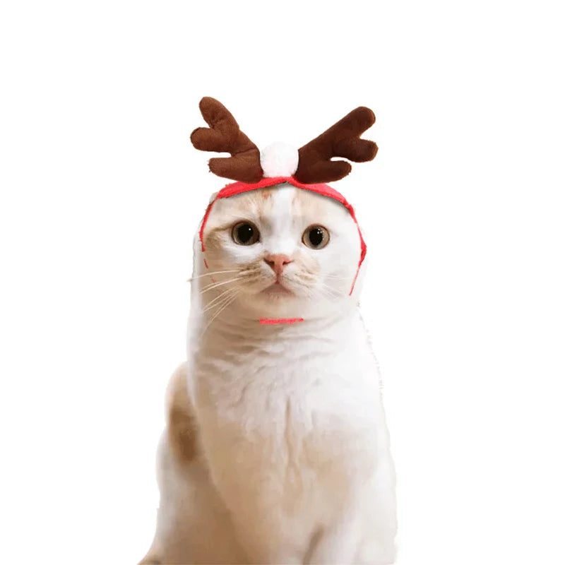 Cat Costume Santa Elk Cosplay Christmas Dog Pet Scarf