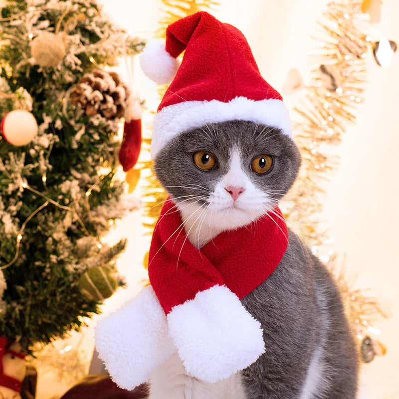 Cat Costume Santa Elk Cosplay Christmas Dog Pet Scarf